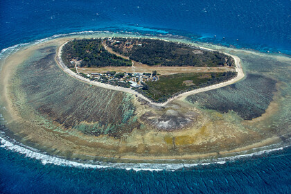 Picture: Коралловый риф размером с Японию оказался в шаге от гибели