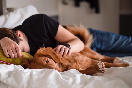 Picture: Названы простые способы заснуть и не просыпаться при обострении аллергии