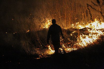Picture: В Казахстане 14 человек погибли из-за лесного пожара