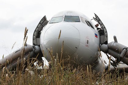 Picture: Раскрыты детали биографии посадившего самолет в поле под Новосибирском пилота