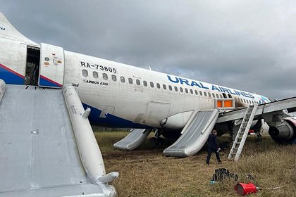 Picture: Пассажирка записала аудио перед аварийной посадкой Airbus в поле