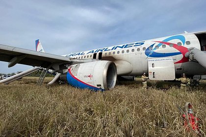Picture: Пассажирка севшего в поле самолета Airbus рассказала про треск после взлета