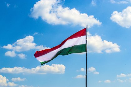 Picture: Венгрия отказалась выдавать Украине сбежавших из страны уклонистов