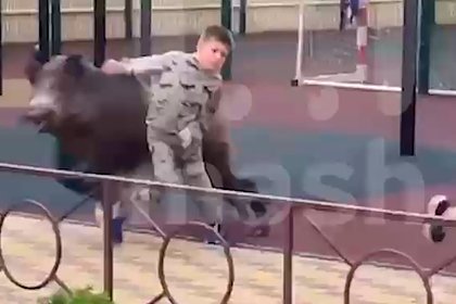 Picture: Дикий кабан напал на детей в российском городе и попал на видео
