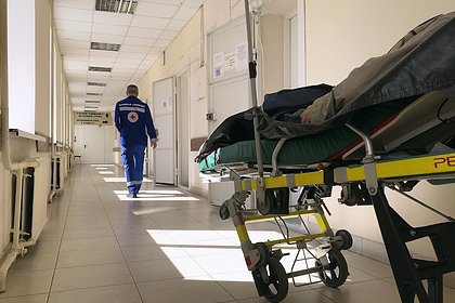 Picture: Число госпитализированных из-за сибирской язвы россиян выросло