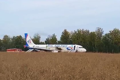 Picture: В Госдуме призвали наградить экипаж севшего в поле самолета