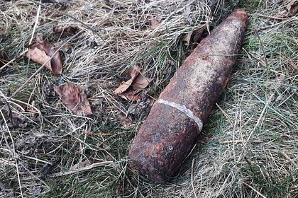 Picture: Россиянин пошел за грибами и нашел взрывоопасный снаряд