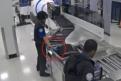 Picture: Сотрудники аэропорта обворовали чемоданы туристов и попали на видео