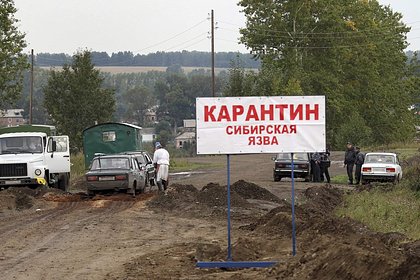 Picture: Российского фермера отправили под домашний арест после вспышки сибирской язвы