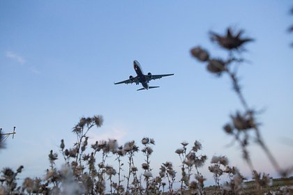 Picture: В Грузии объяснили отказ от отмены авиасообщения с Россией