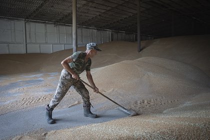 Picture: Польша заявила о недостаточности продления эмбарго на зерно с Украины
