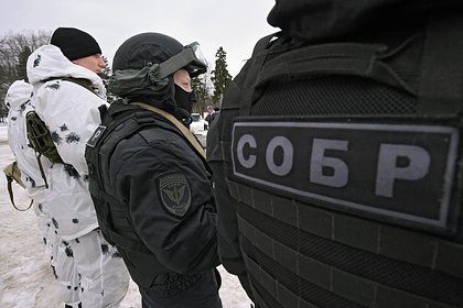 Picture: Глава МВД российского региона заявил о пяти ликвидированных ячейках террористов