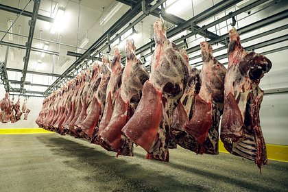 Picture: Назван главный иностранный поставщик мяса в Россию