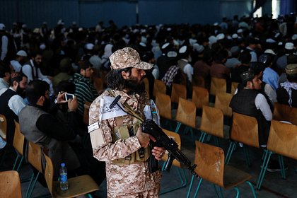 picture: Талибы пообещали сделать все возможное для борьбы с боевиками «Вилаята Хорасан»