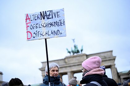 Picture: В Германии захотели запретить популярную правую партию