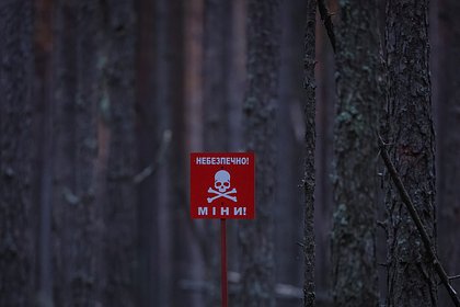 Picture: В Норвегии подняли вопрос о расследовании применения Киевом противопехотных мин