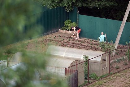 Picture: Раскрыт способ работать в огороде с пользой для фигуры
