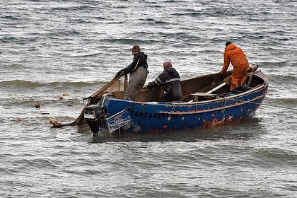 Picture: Российские рыбаки выловили «исполняющую желания» золотую рыбу