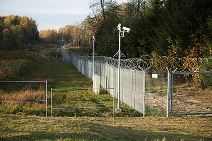 Picture: В Литве захотели укрепить охрану границы с Россией «испанскими лошадьми»