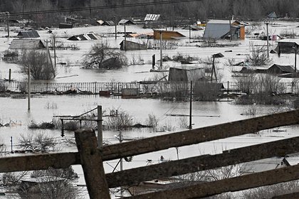 Picture: Власти опровергли невыплату компенсаций вдове бойца СВО в затопленном Орске