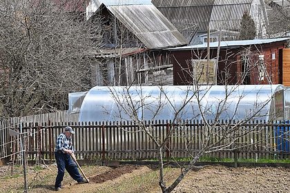 Picture: Россиянам назвали эффективные способы избавиться от насекомых на даче