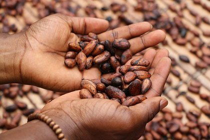 Picture: Колебания цен на какао оказались рекордными