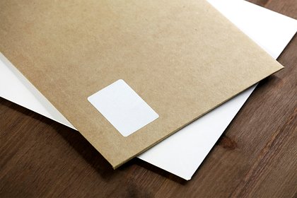 Picture: В Молдавии ввели голосование по почте