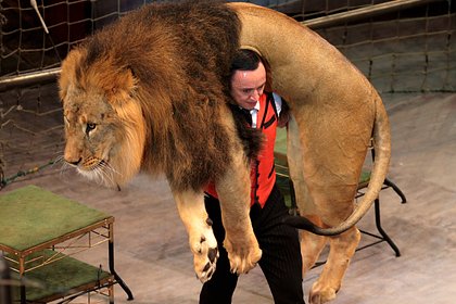 picture: Дрессировщик львов стал основателем цирковой династии и поделился опытом