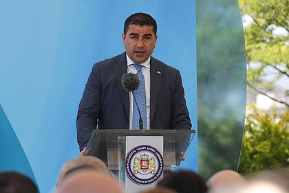 Picture: Парламент Грузии обвинил США в финансировании радикальных группировок