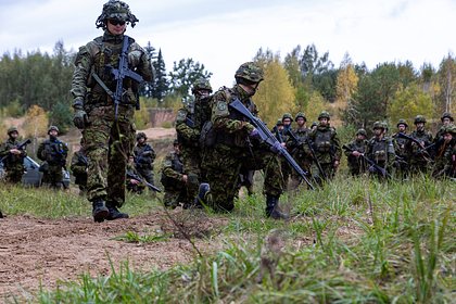 Picture: В Эстонии назвали условие для отправки военных на Украину