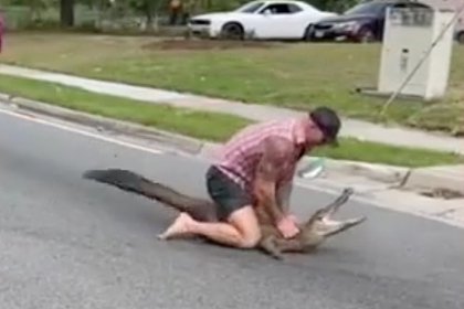 Picture: Мужчина сошелся в схватке с аллигатором на оживленной улице