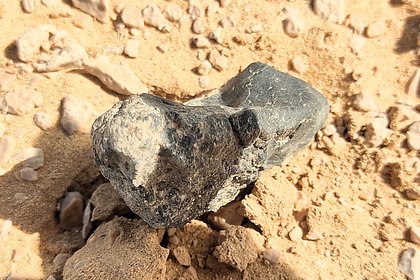 Picture: Найденный в Египте уникальный метеорит пополнил коллекцию российских астрономов