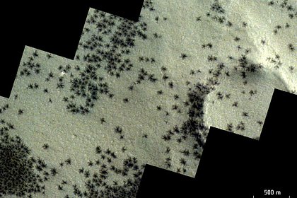 Picture: На Марсе обнаружили сотни черных «пауков»