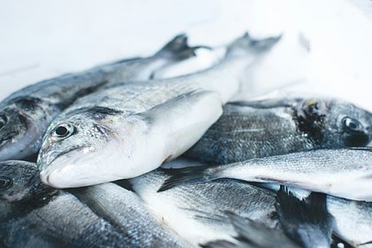 Picture: Российские промышленники захотели активнее продавать рыбу в Азию