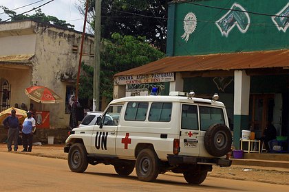 Picture: В ДР Конго произошла вспышка нового опаснейшего штамма оспы обезьян