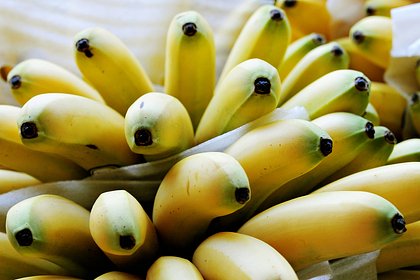 Picture: В Петербурге в партии свежих бананов обнаружили 60 килограммов кокаина