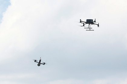 Picture: В Совфеде заявили об активизации дронов ВСУ в Херсонской области