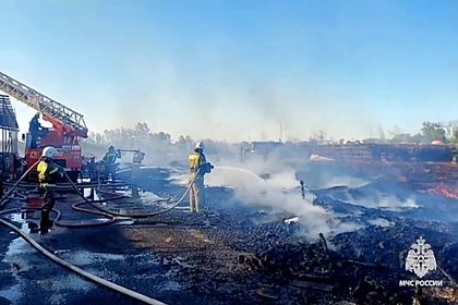 Picture: МЧС России полностью ликвидировало пожар в Крыму