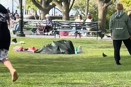 Picture: Пара занялась сексом в парке на глазах у семей с детьми