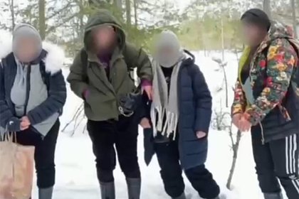 Picture: Четырех пытавшихся дойти до Финляндии иностранцев поймали в российском лесу