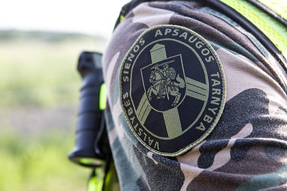 Picture: В Литве допустили тренировку военных на Украине