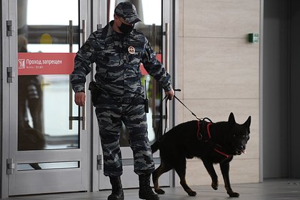 Picture: В московском аэропорту усилили меры безопасности после теракта в Дагестане