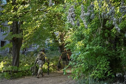 Picture: В Херсонской области рассказали о действиях ВСУ в регионе