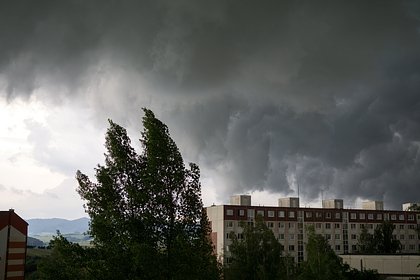 Picture: В Белоруссии во время грозы погибли два человека