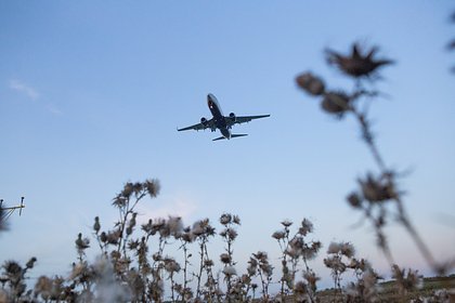 Picture: Россиянам назвали самые выгодные месяцы для полетов