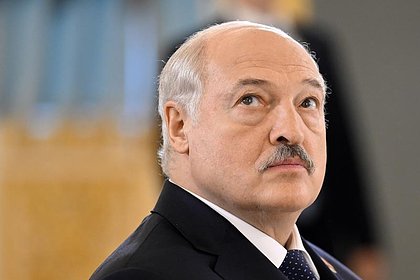 Picture: Лукашенко оценил предложение США по перемирию на Украине