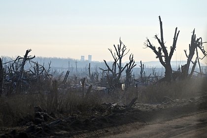 Picture: ВСУ перебросили под Красноармейск элитный спецбатальон