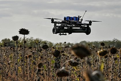 Picture: Раскрыт способ ВСУ вычислить укрытия мирных жителей в ДНР