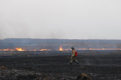 Picture: Пытающиеся спасти дома от бушующего в Сочи лесного пожара жители попали на видео