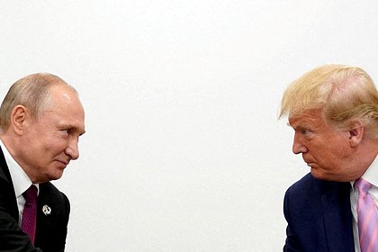 Picture: На Западе поговоркой высказались о переговорах Трампа и Путина